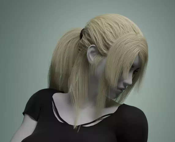 Ponytail 1 - Particle Hair 3D model_0