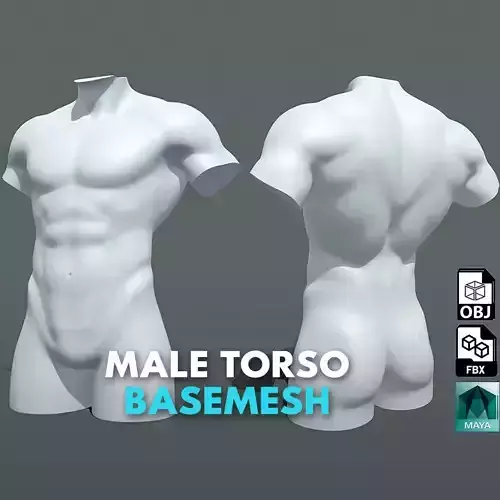 Male Torso Low-poly 3D model