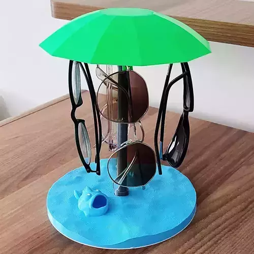 MODERN EYEGLASSES ORGANIZER