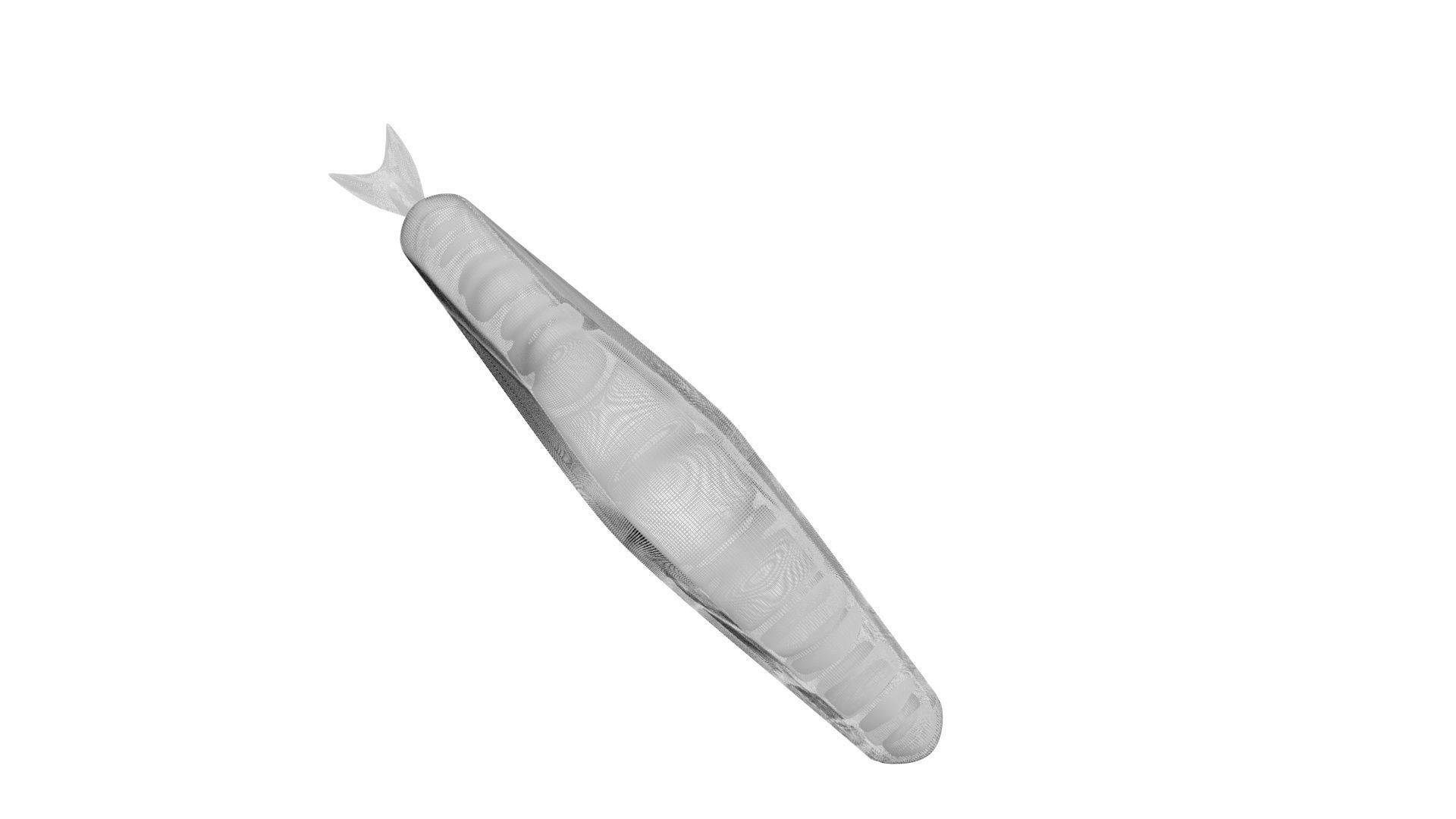 Sperm Whale 3D model_19