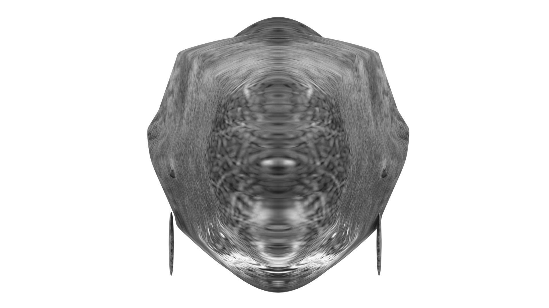 Sperm Whale 3D model_15