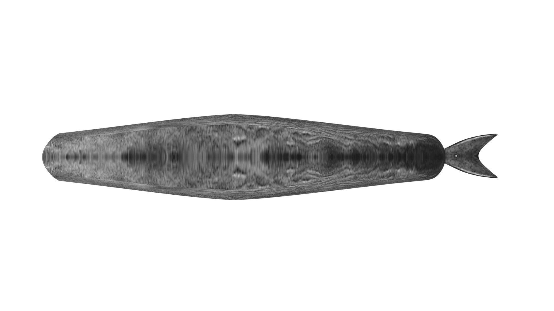 Sperm Whale 3D model_13