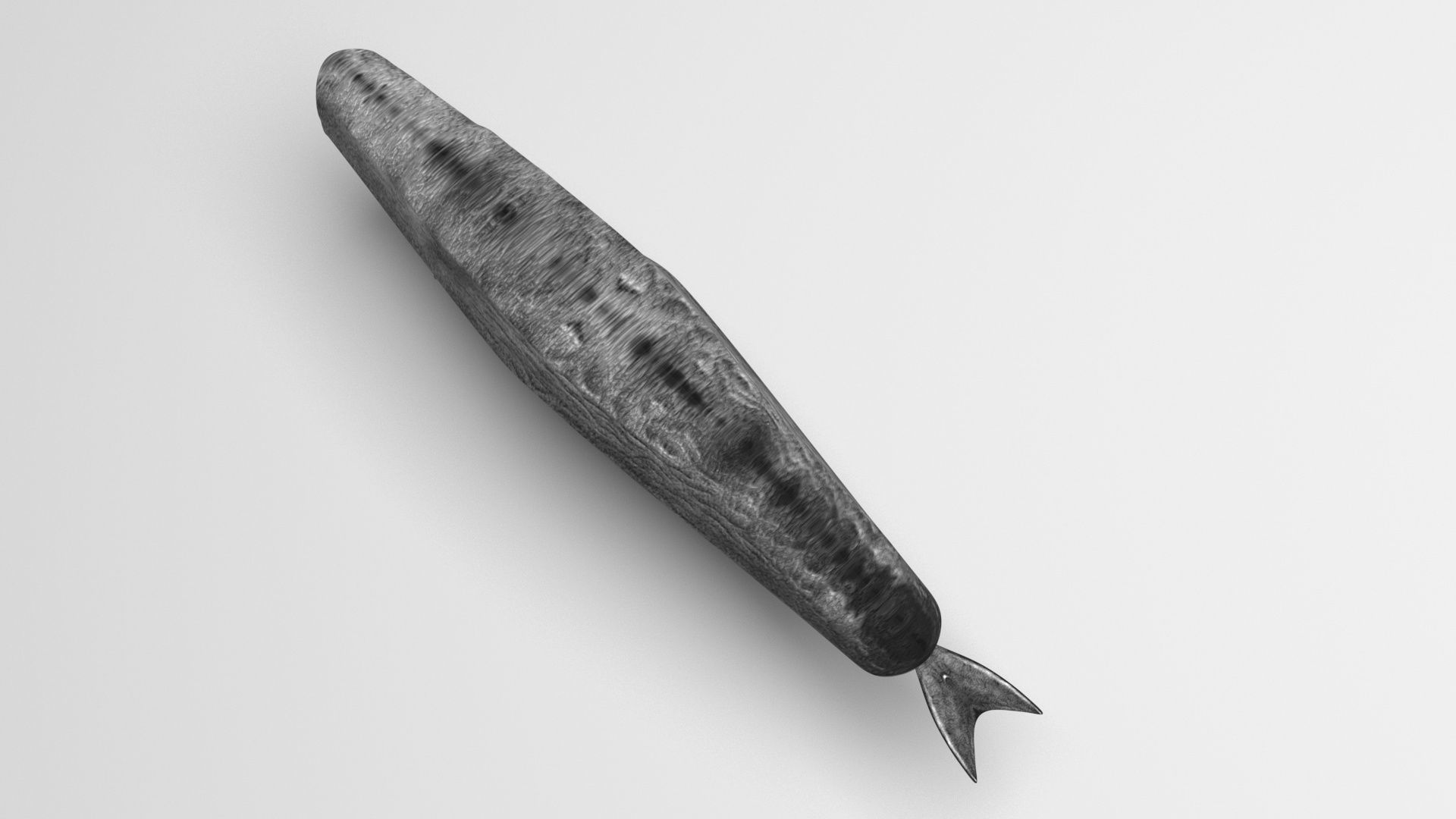 Sperm Whale 3D model_1
