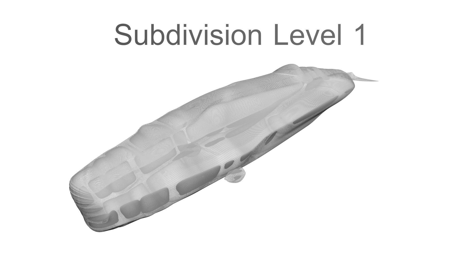 Sperm Whale 3D model_23