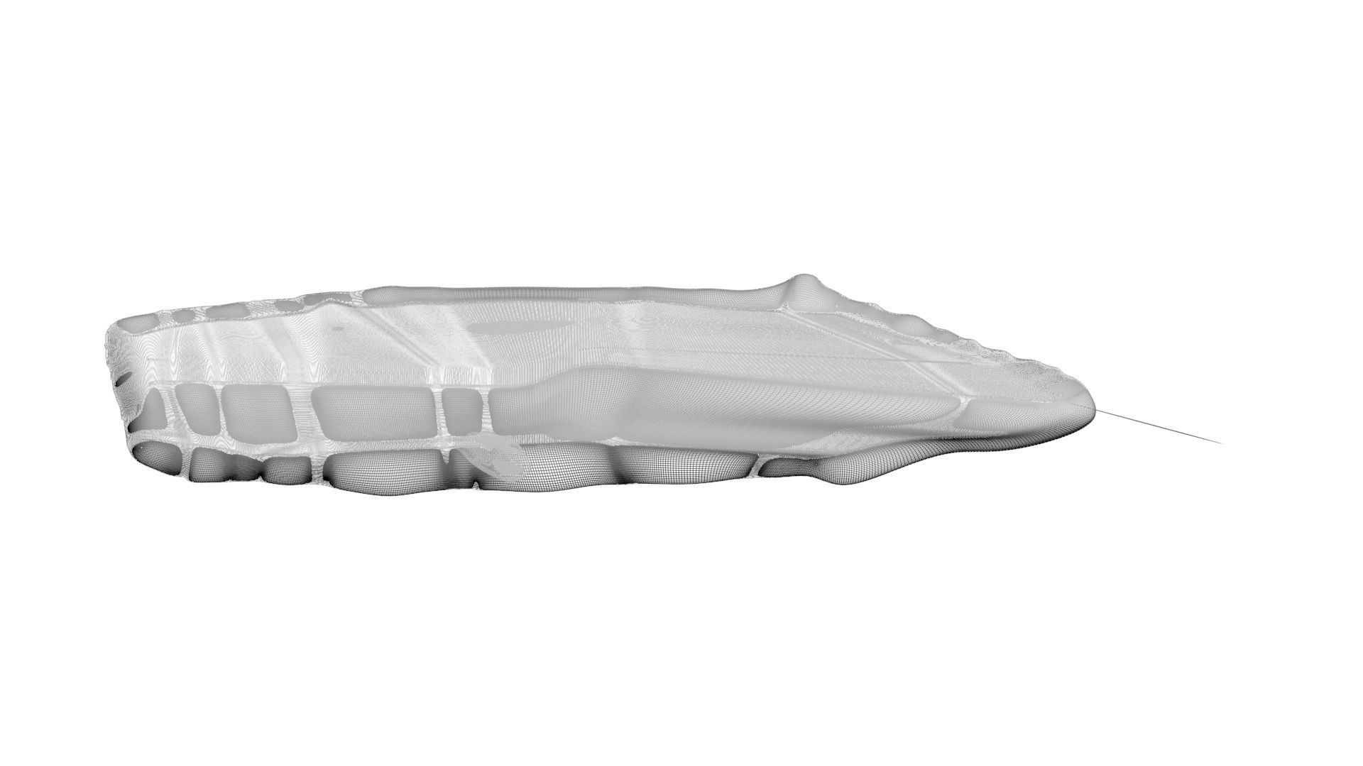 Sperm Whale 3D model_21