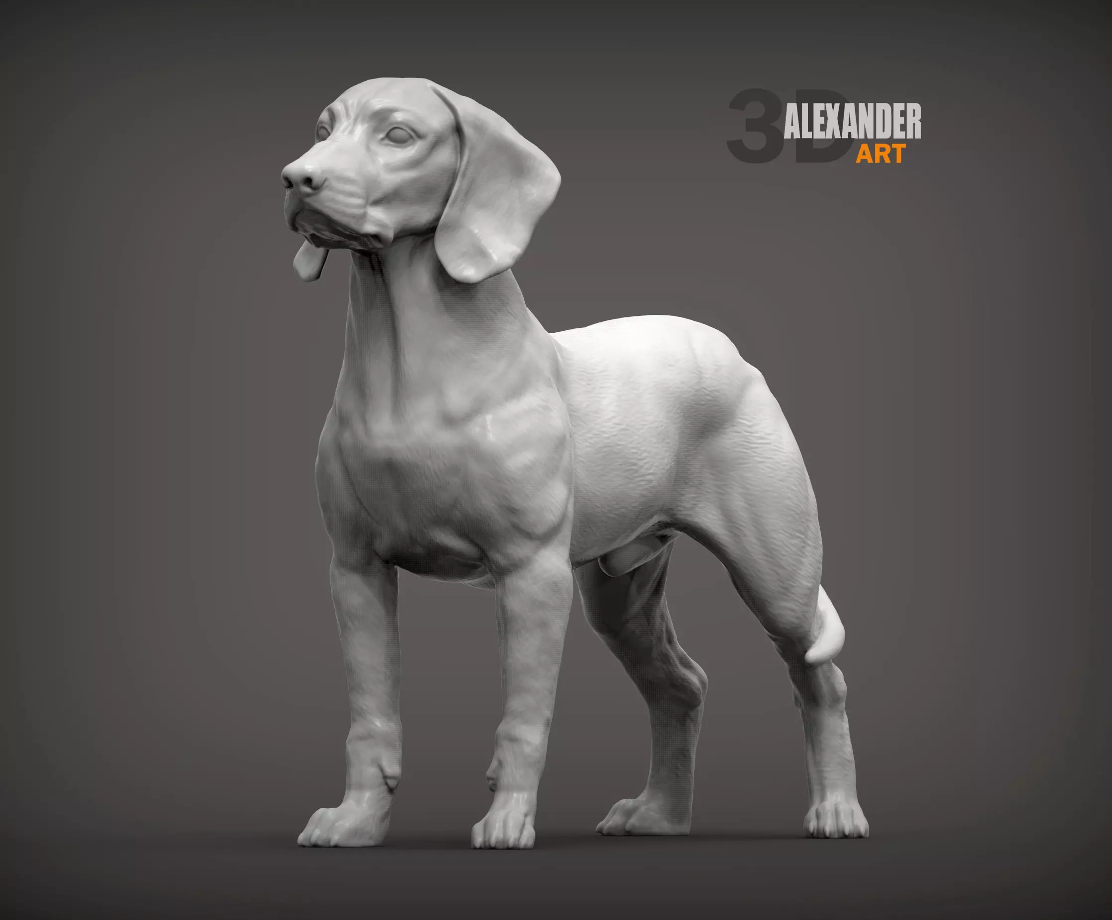 Bavarian Mountain Bloodhound 3D print model_0