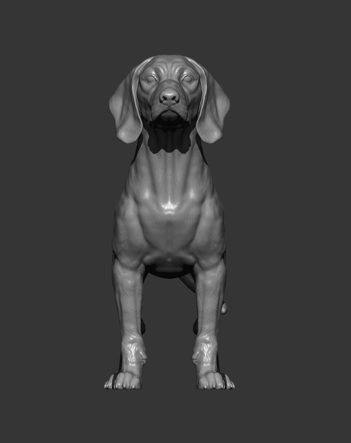 Bavarian Mountain Bloodhound 3D print model_8