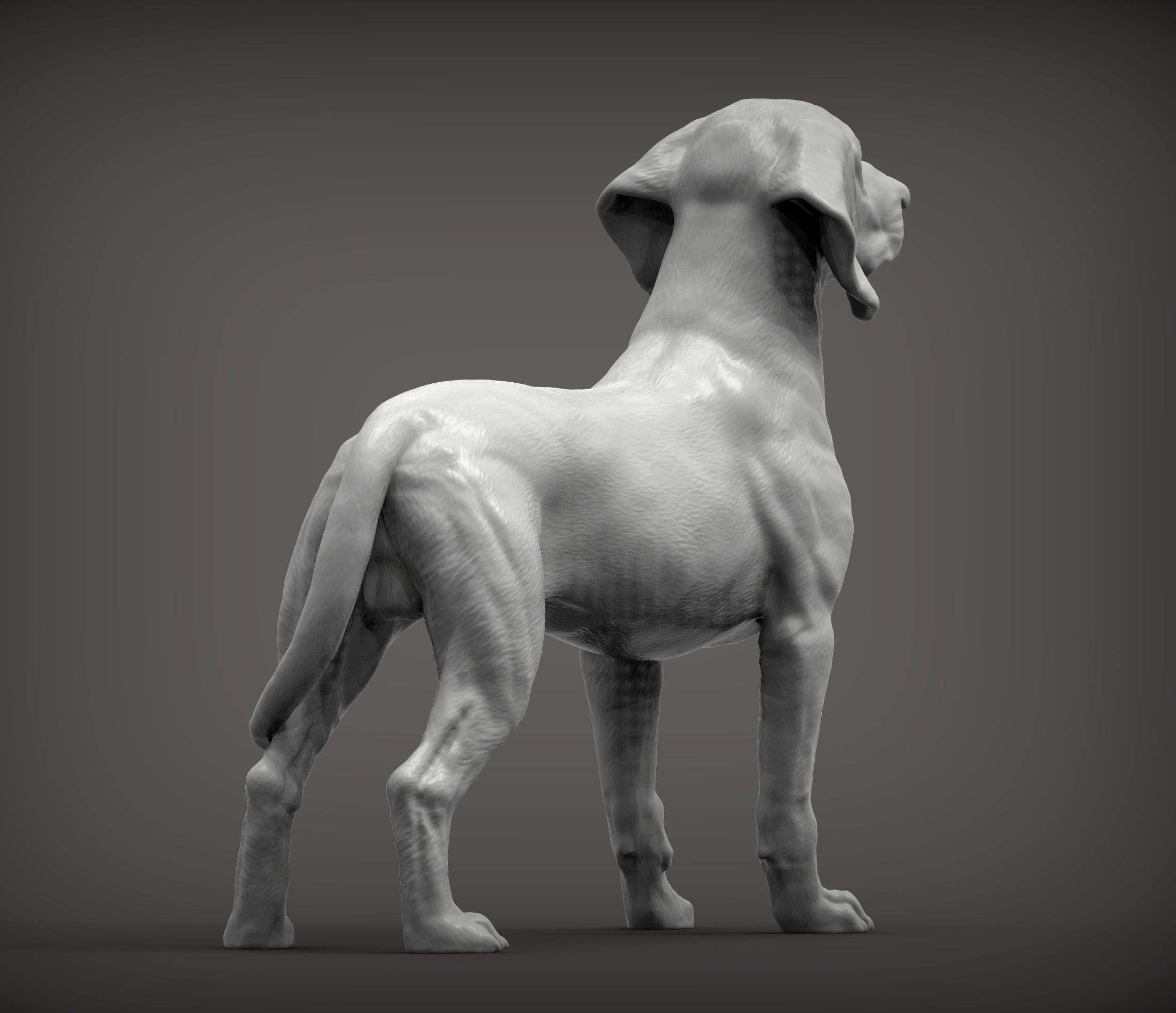 Bavarian Mountain Bloodhound 3D print model_12