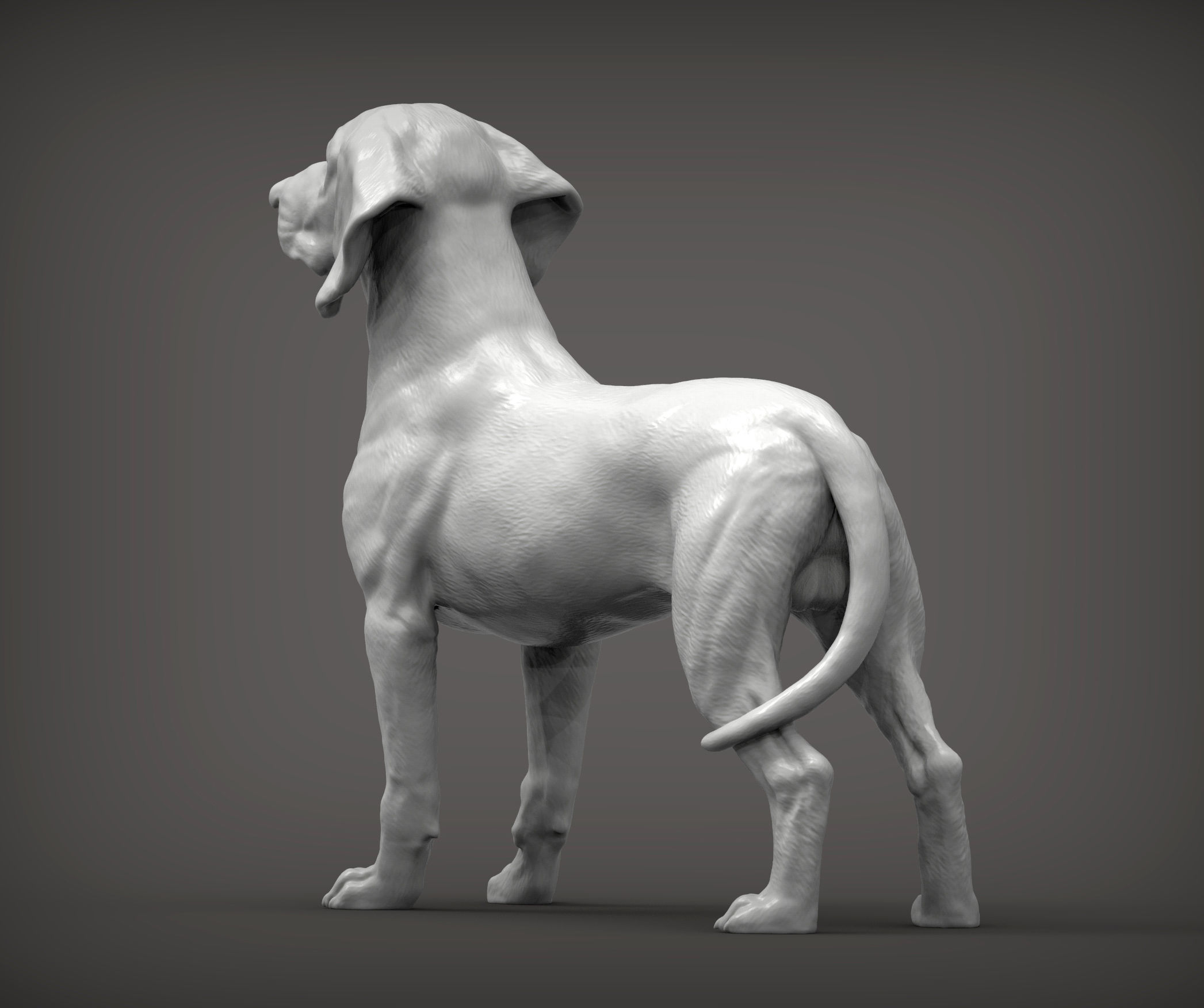 Bavarian Mountain Bloodhound 3D print model_6