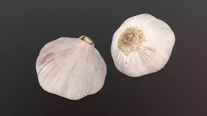 Photorealistic Garlic 3D Scan AR VR PBR