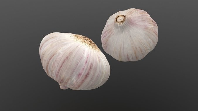 Photorealistic Garlic 3D Scan AR VR PBR Low-poly 3D model 7