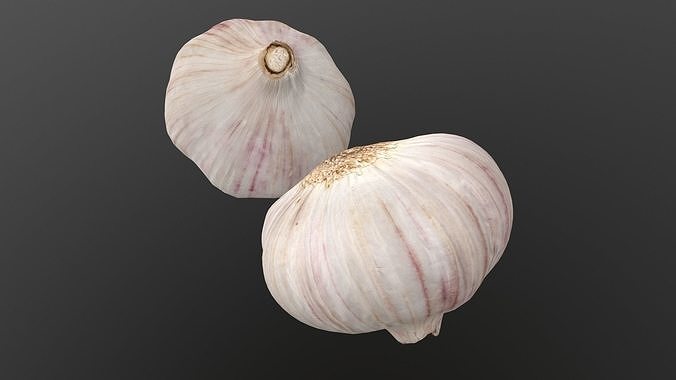 Photorealistic Garlic 3D Scan AR VR PBR Low-poly 3D model 4
