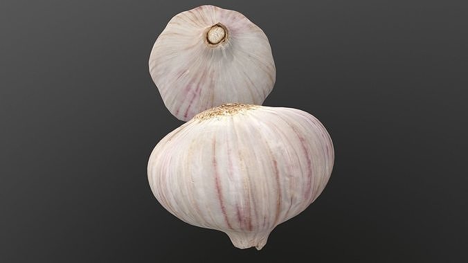 Photorealistic Garlic 3D Scan AR VR PBR Low-poly 3D model 5