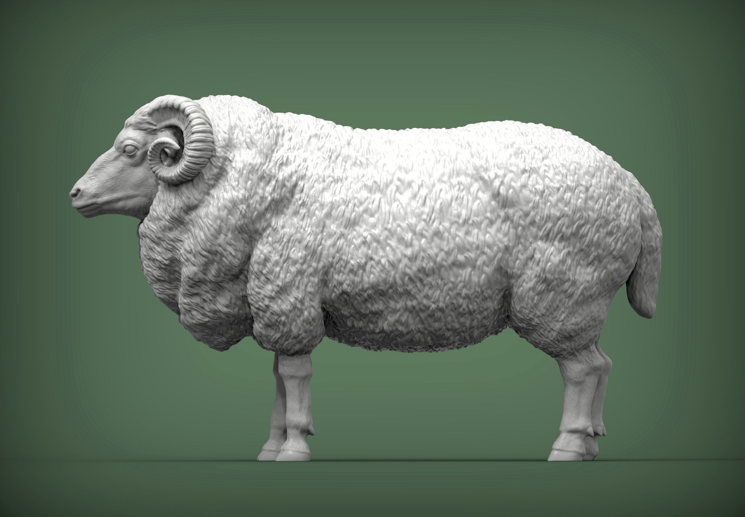 Ram 3D print model 3D print model_3