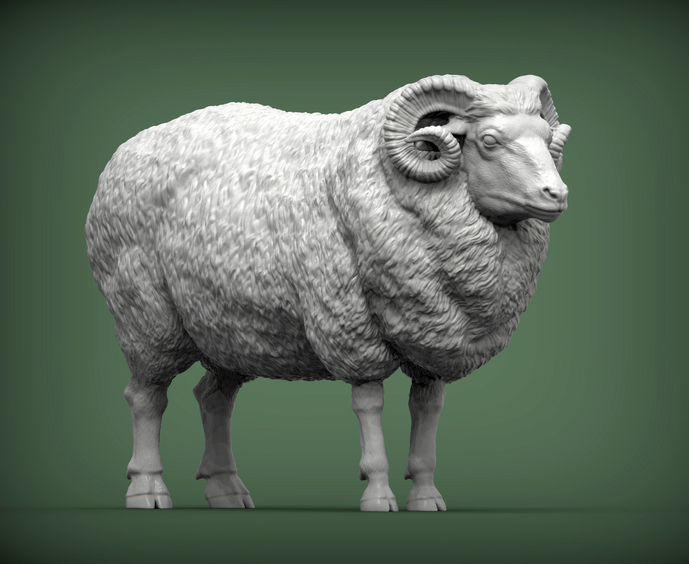 Ram 3D print model 3D print model_4