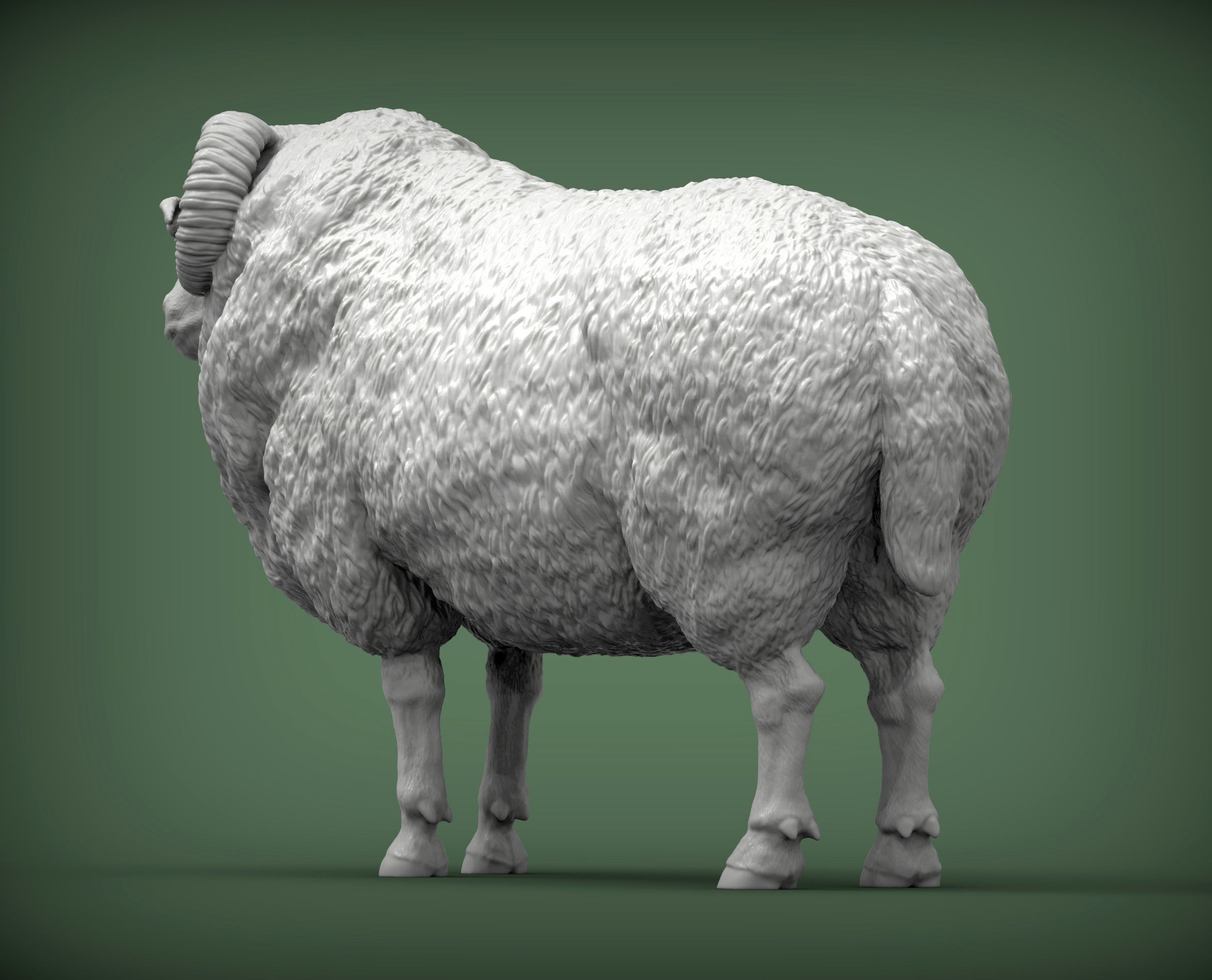 Ram 3D print model 3D print model_5