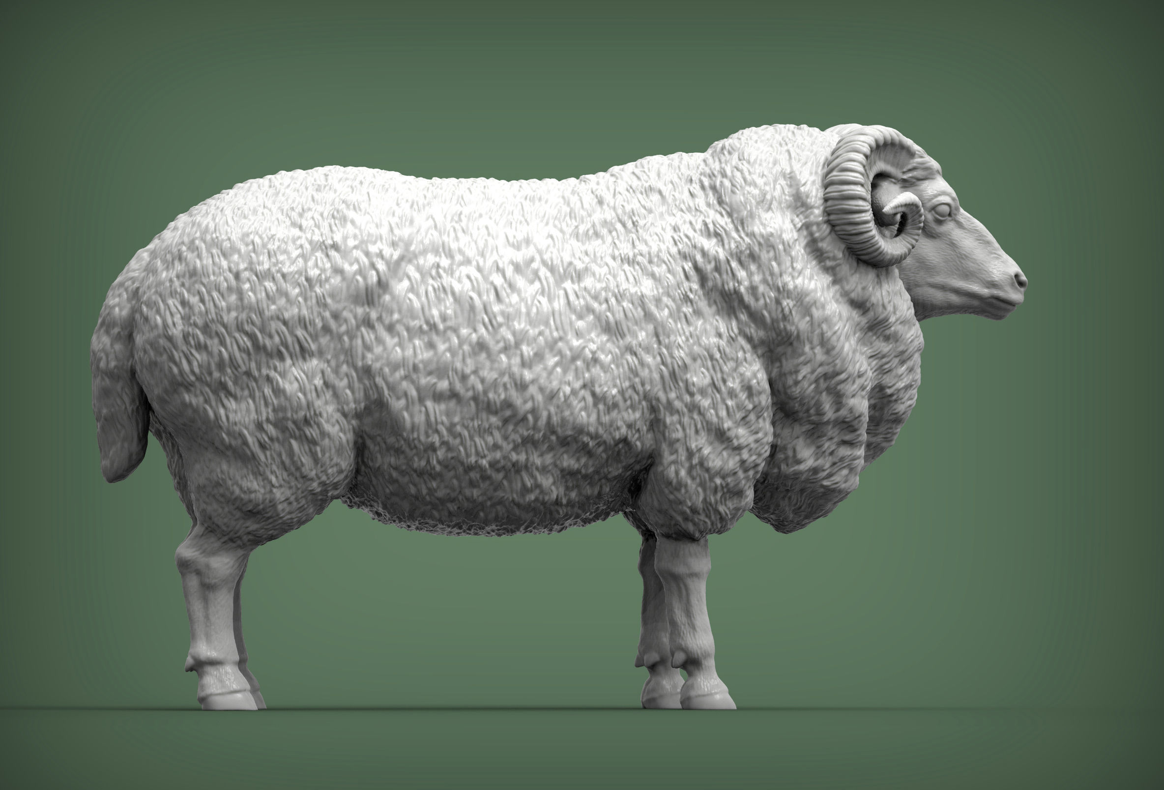 Ram 3D print model 3D print model_6