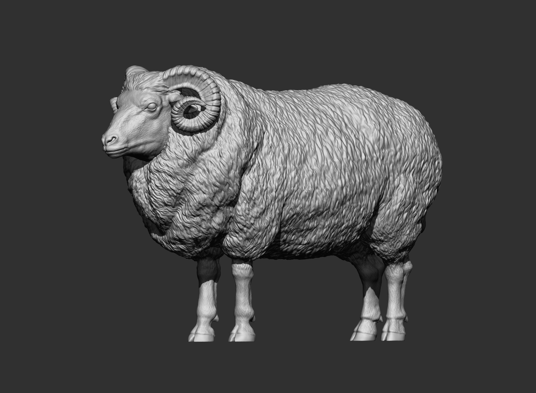 Ram 3D print model 3D print model_12