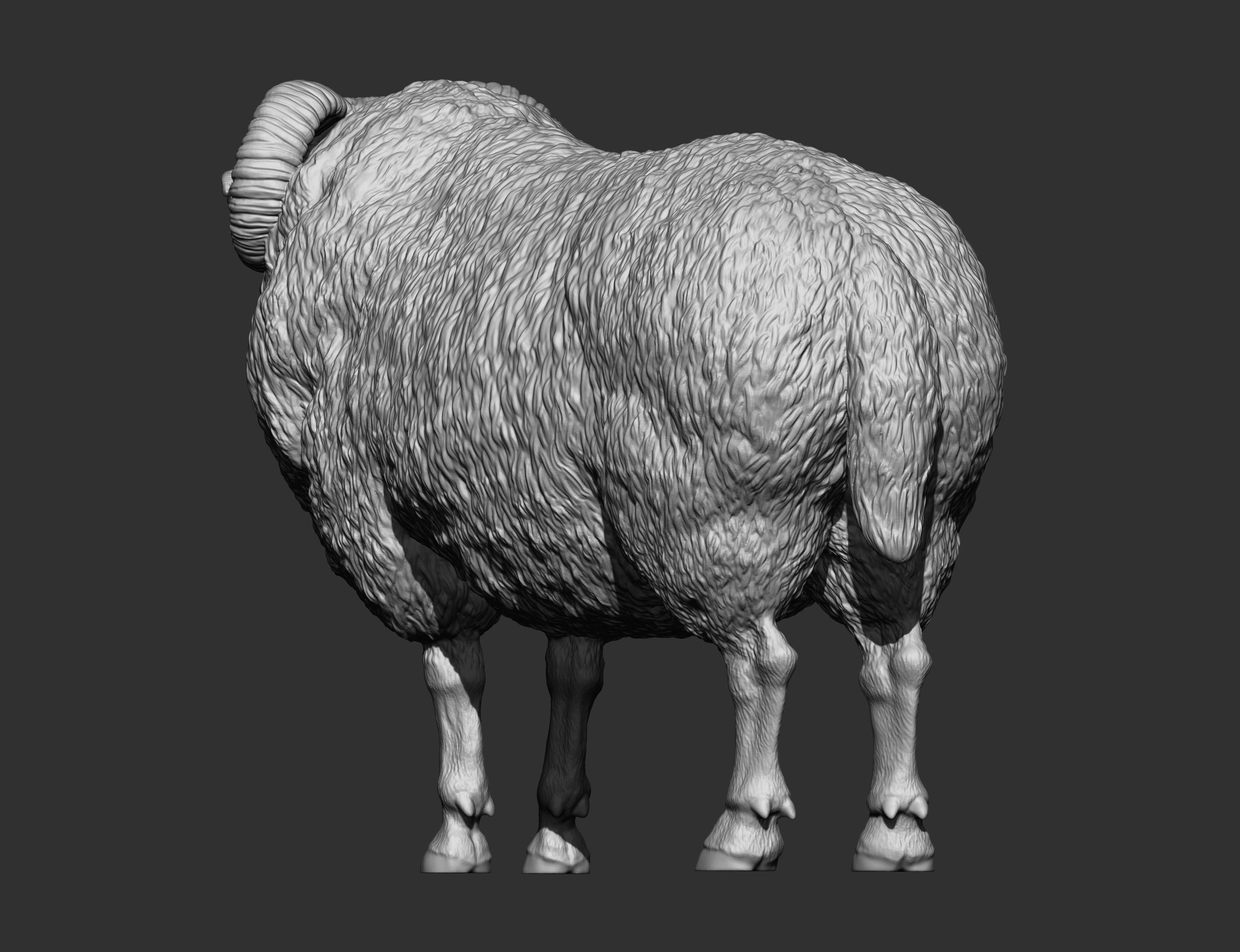 Ram 3D print model 3D print model_10