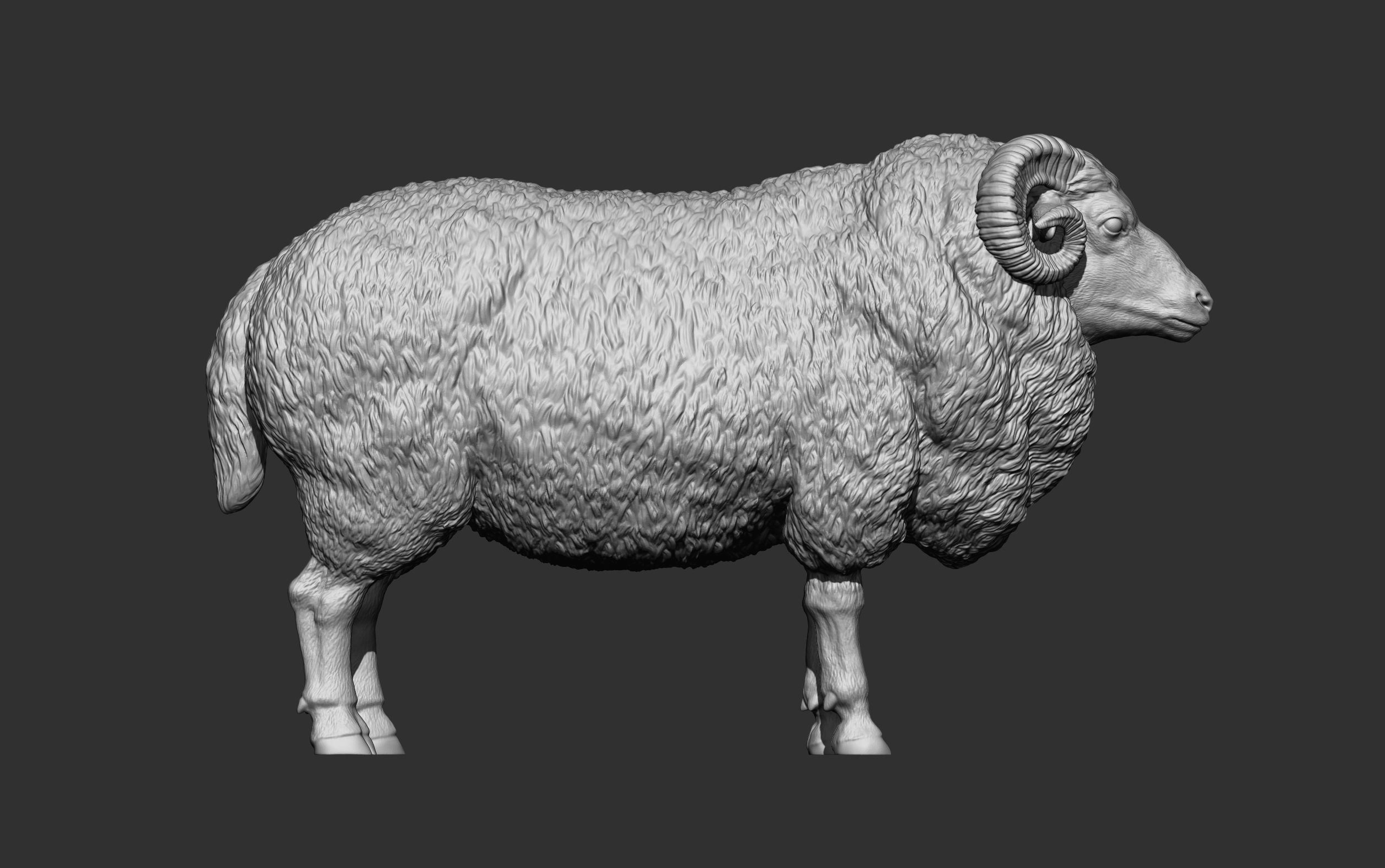 Ram 3D print model 3D print model_11