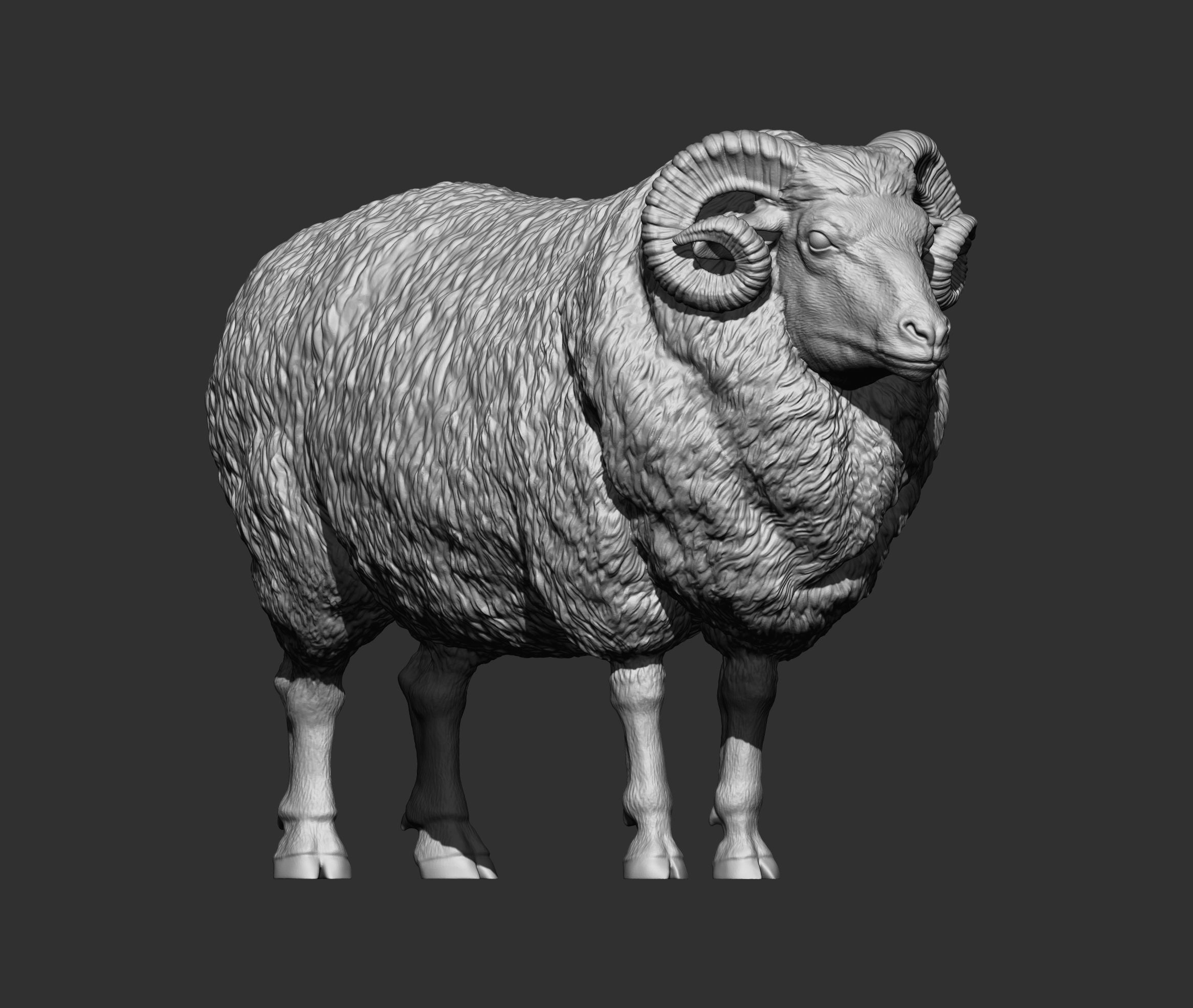 Ram 3D print model 3D print model_8