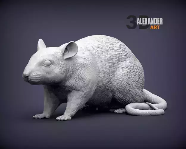 Rat 3D print model 3D print model