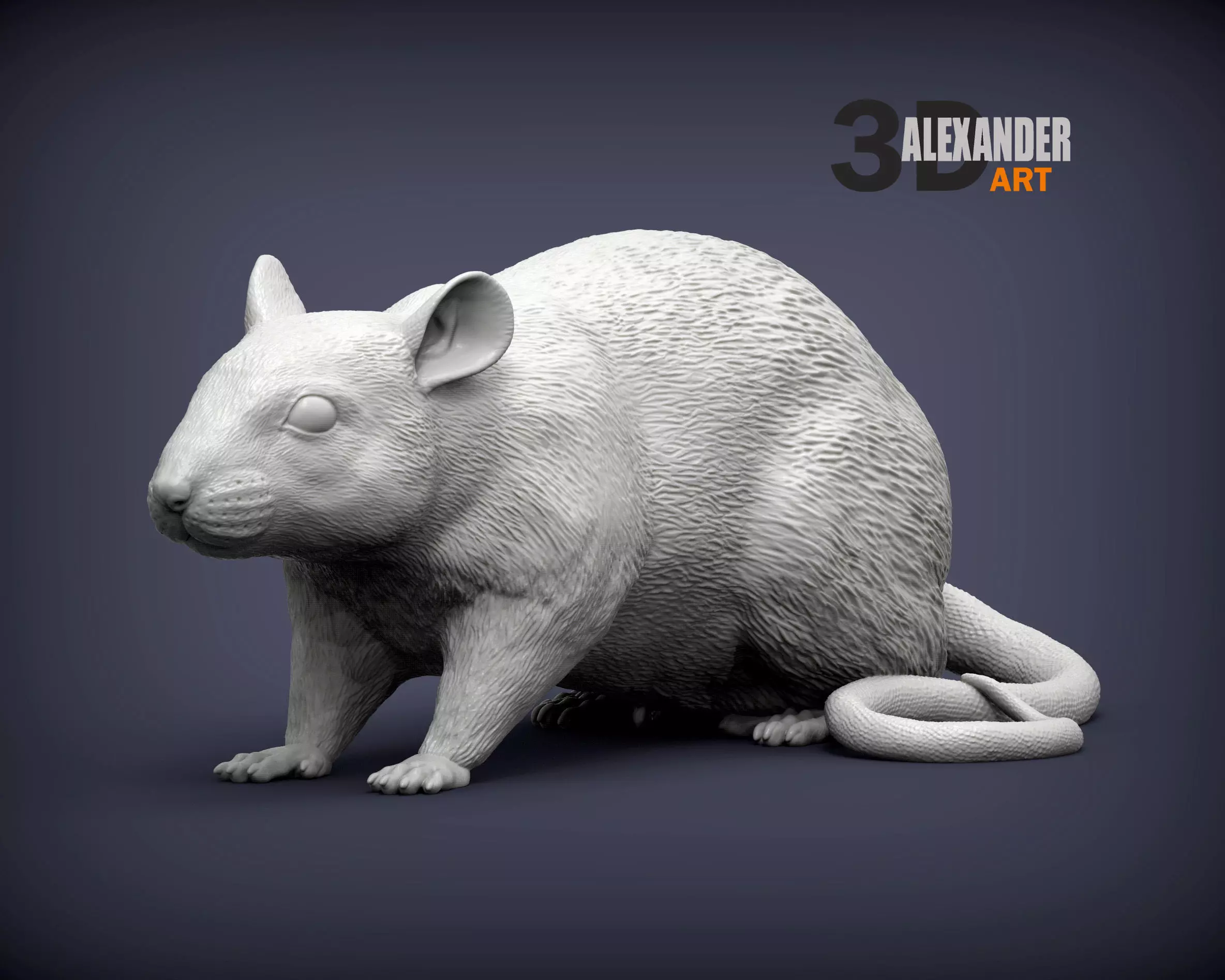 Rat 3D print model 3D print model_0