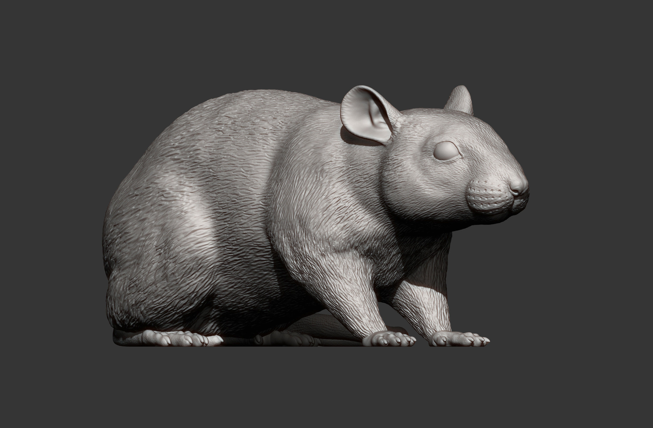 Rat 3D print model 3D print model_10