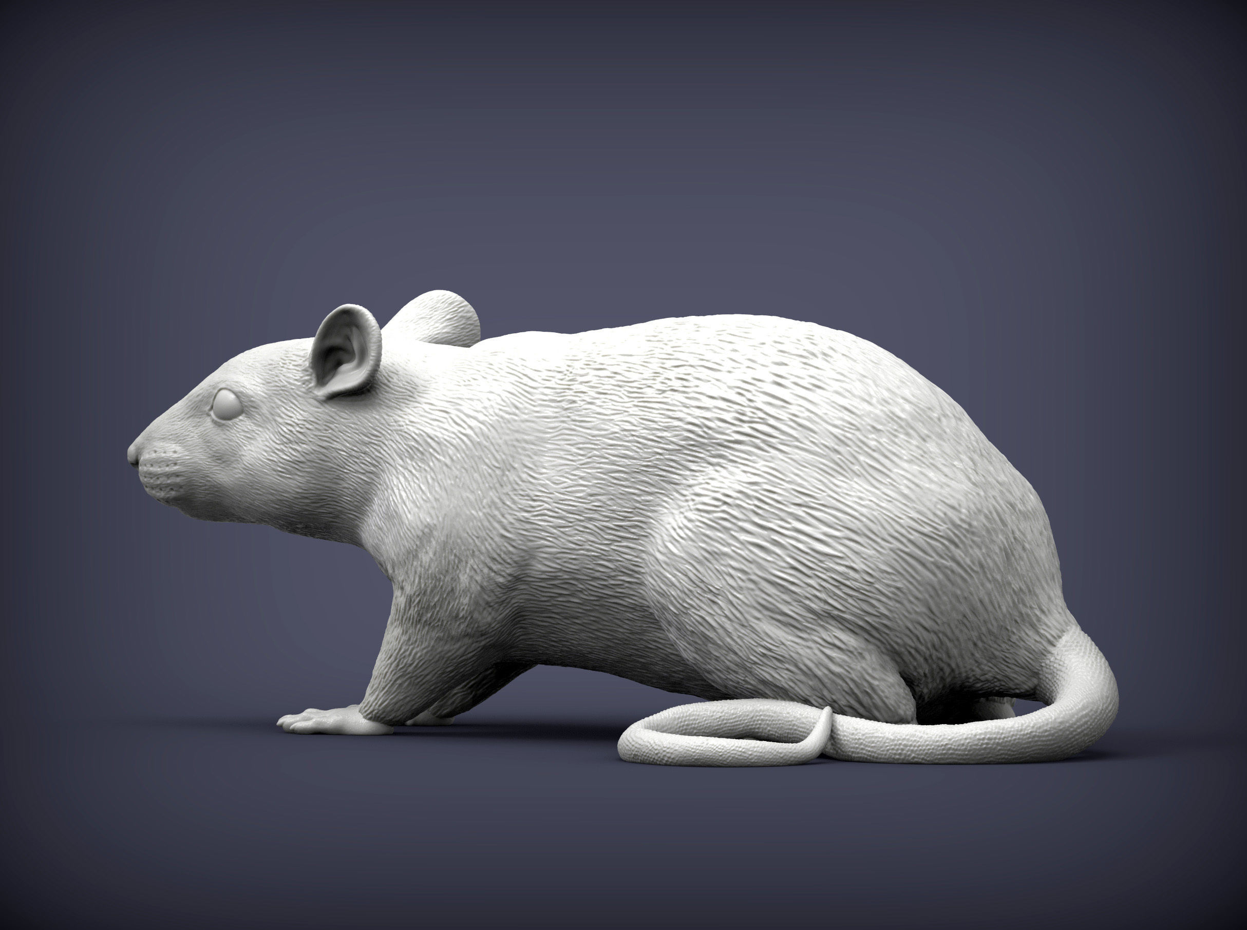 Rat 3D print model 3D print model_3