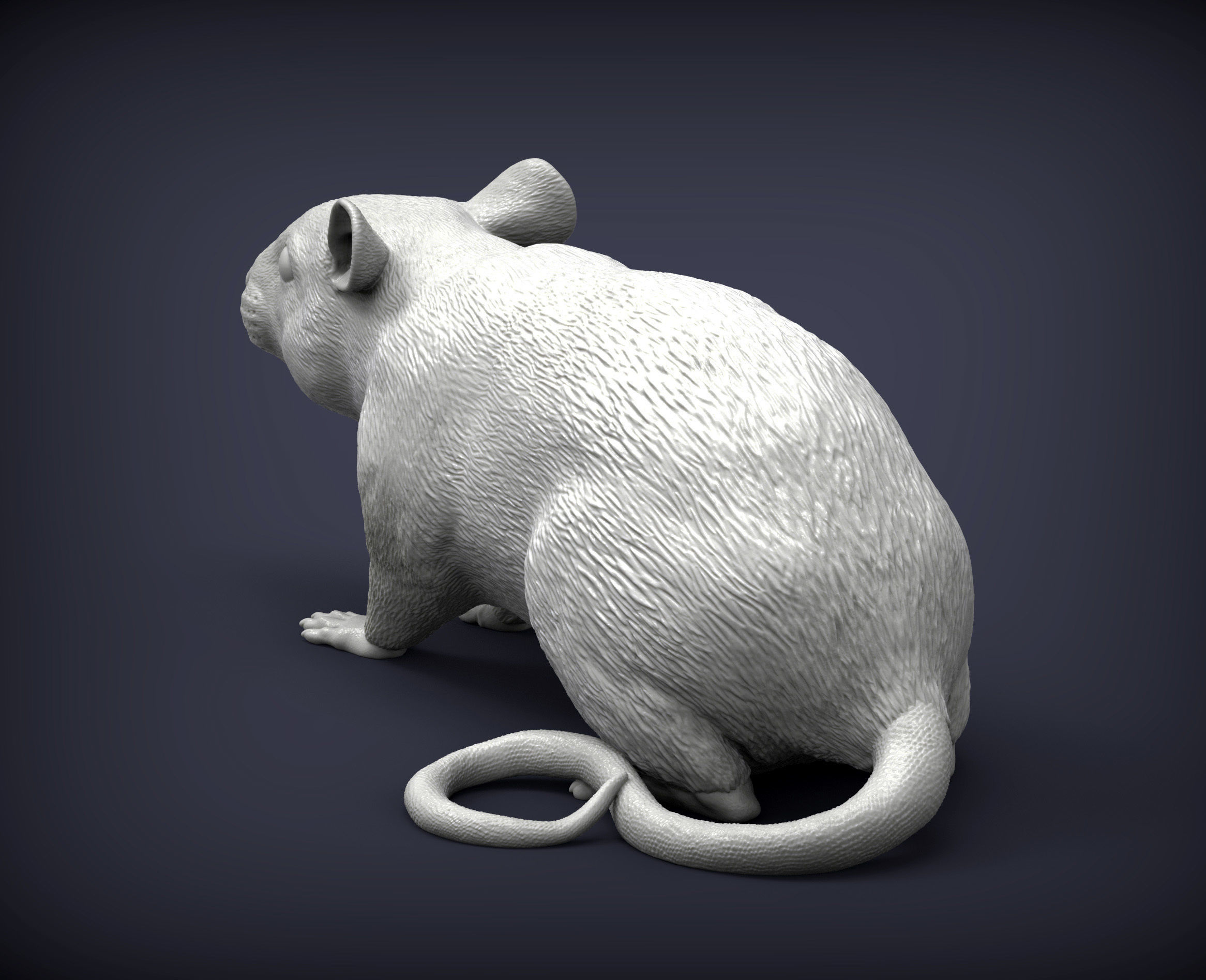 Rat 3D print model 3D print model_4