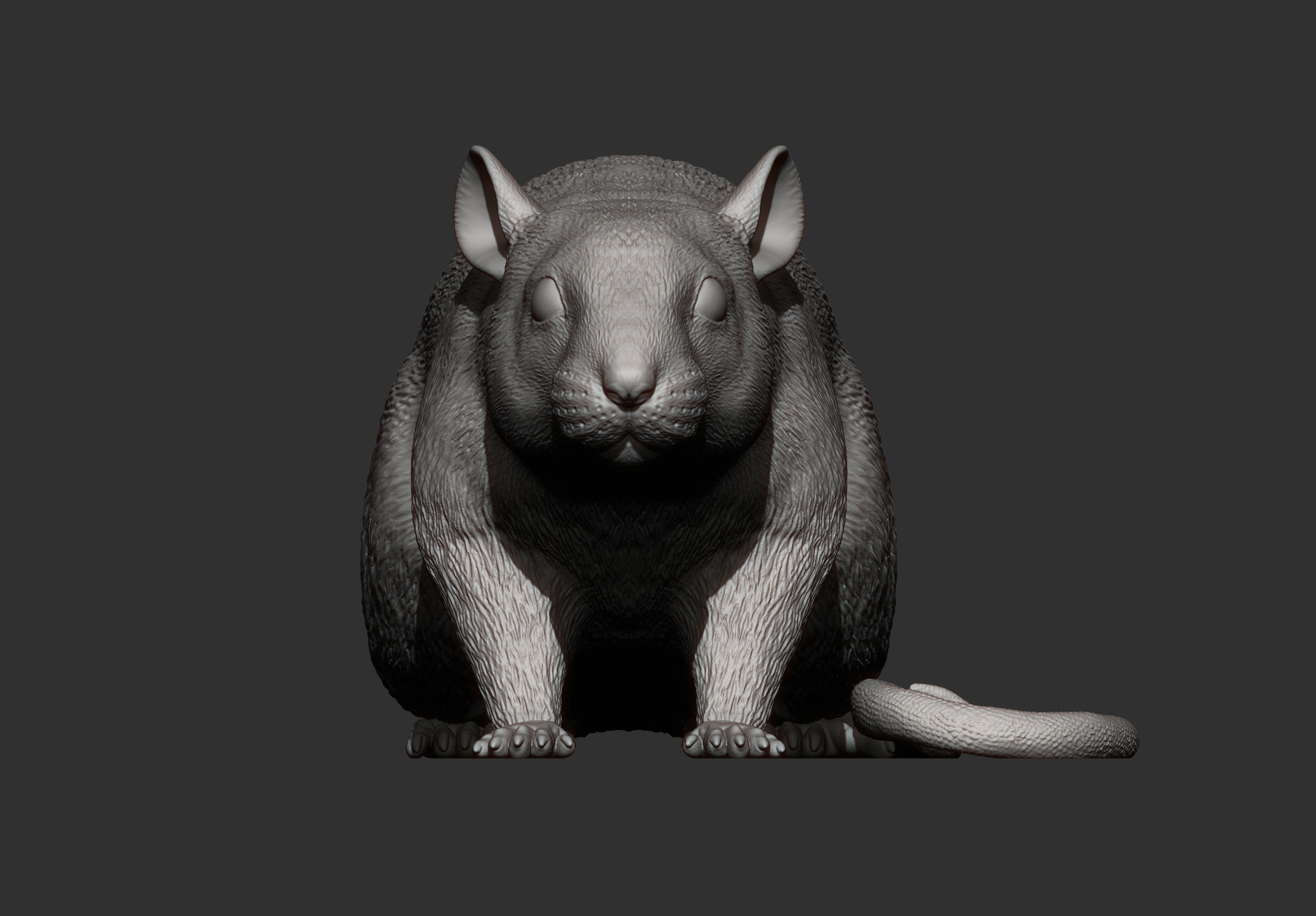 Rat 3D print model 3D print model_8