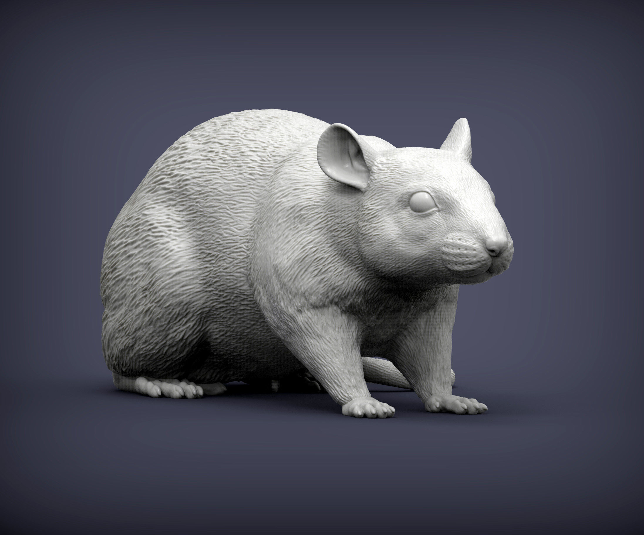 Rat 3D print model 3D print model_2