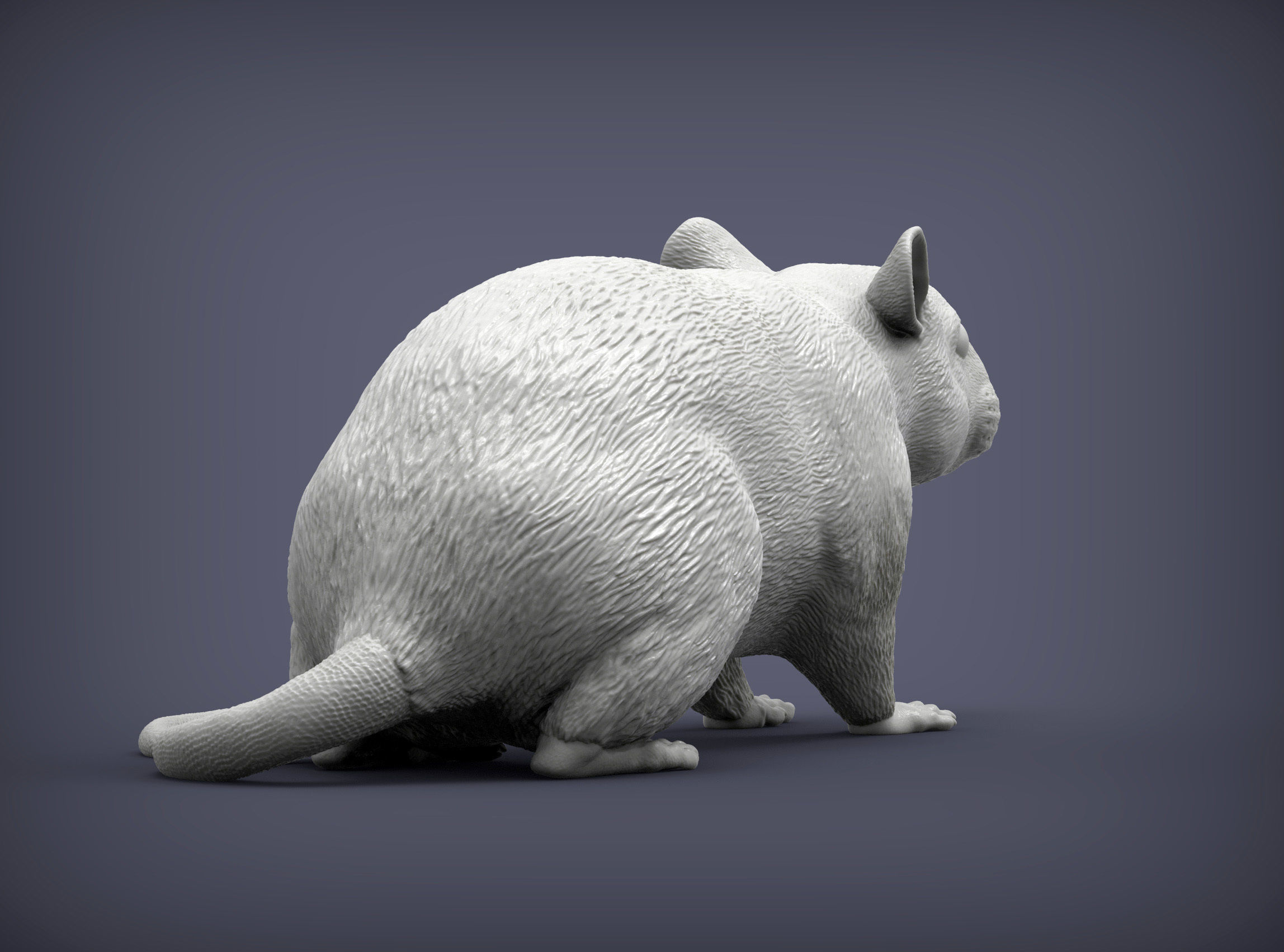 Rat 3D print model 3D print model_7