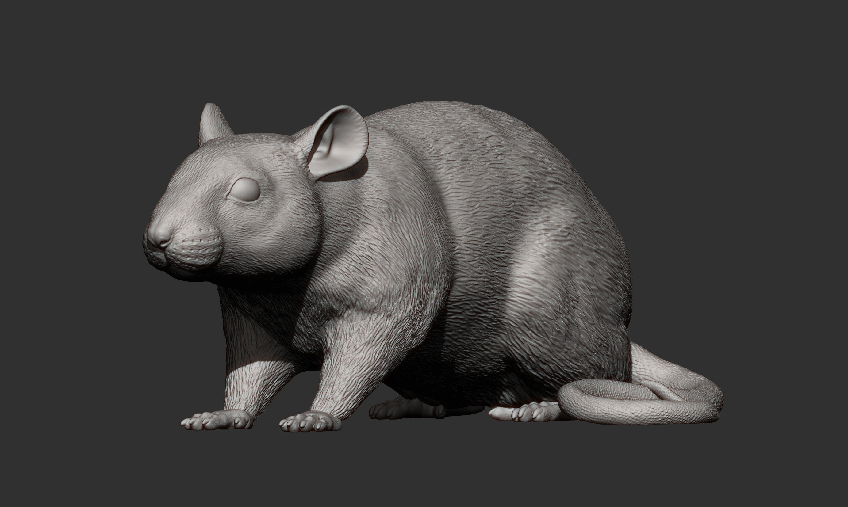 Rat 3D print model 3D print model_14