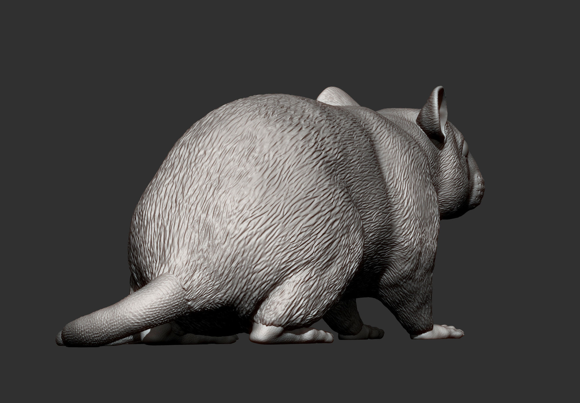 Rat 3D print model 3D print model_12