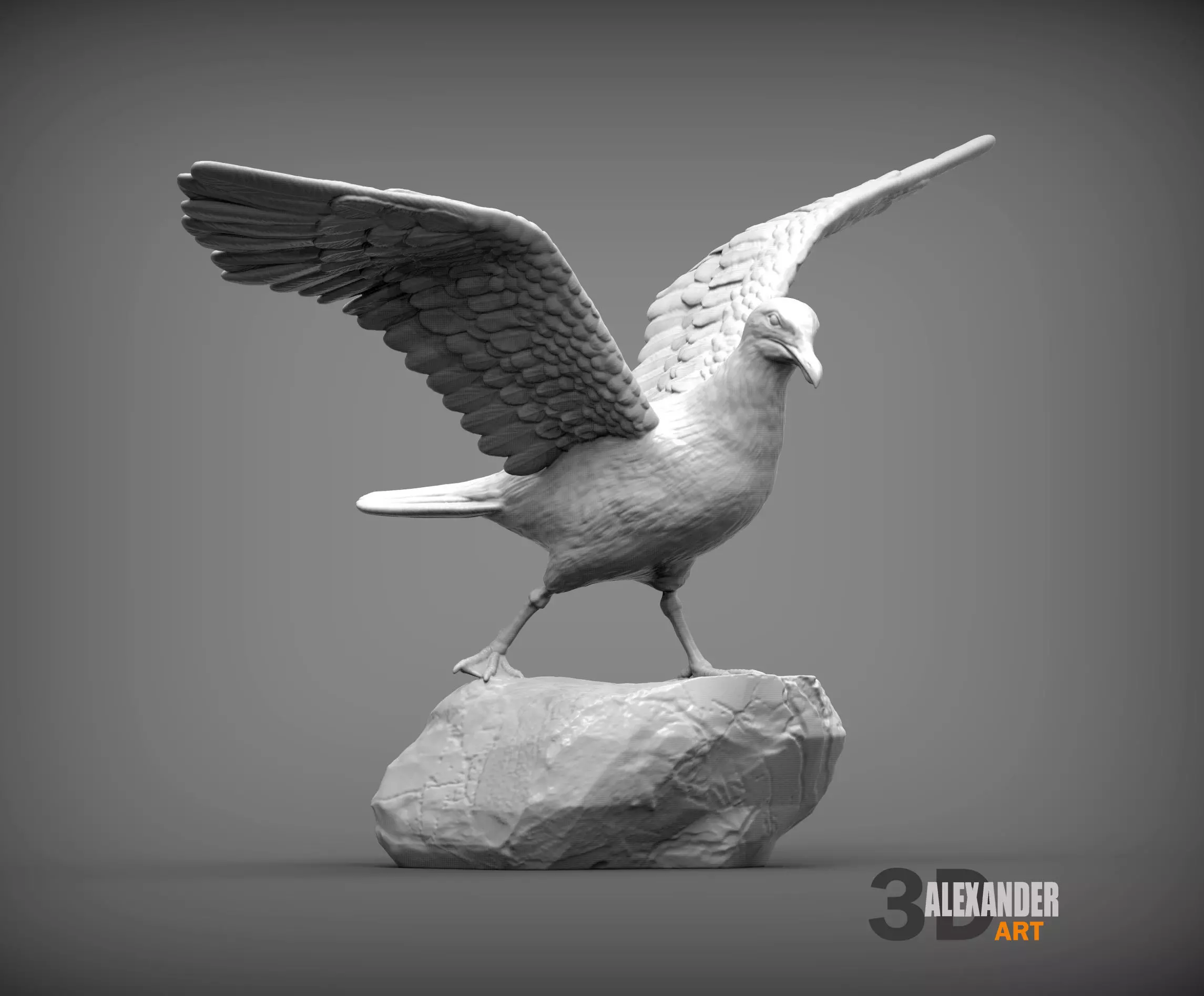 Seagull on the stone 3D print model