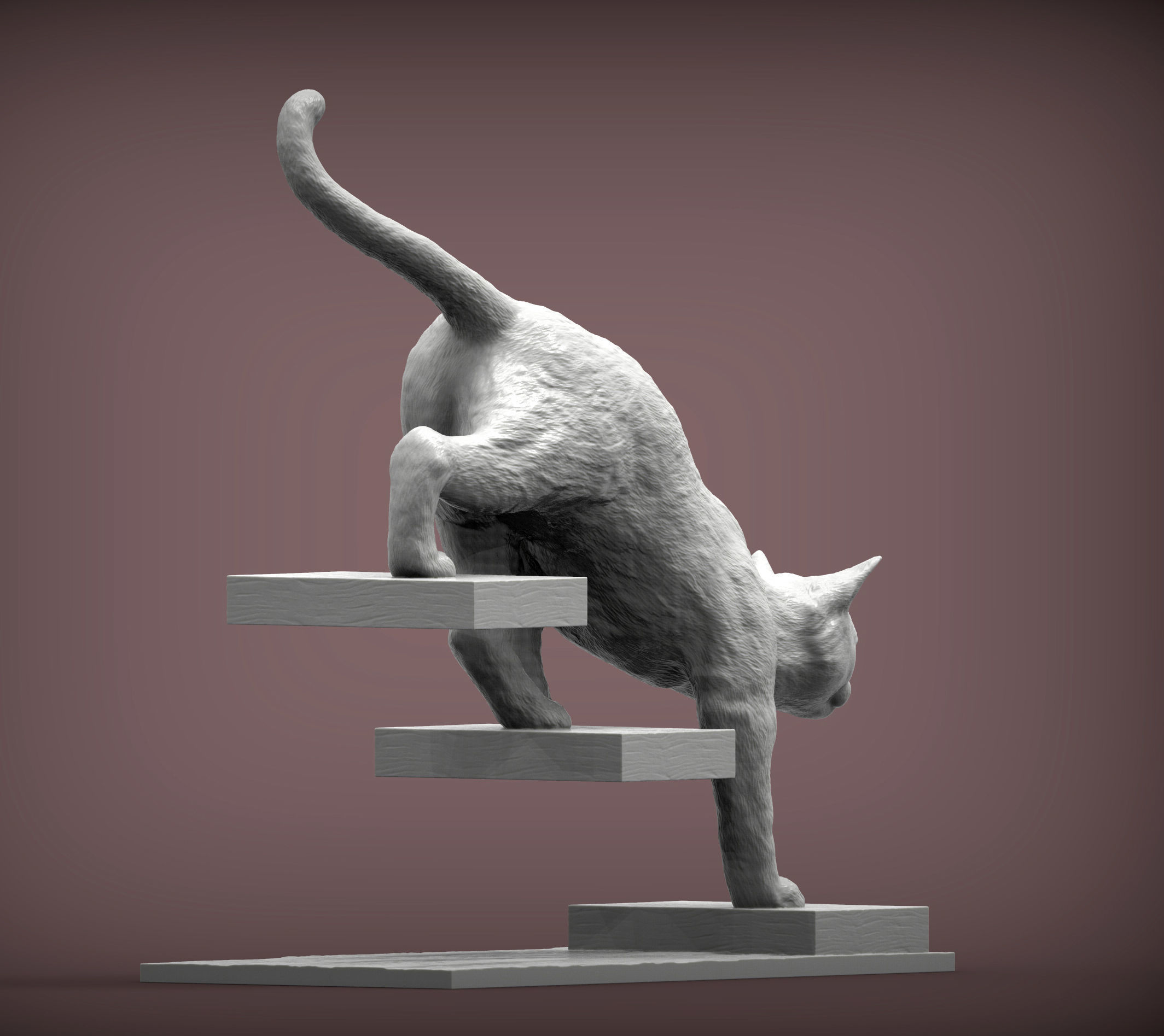 The cat goes down the stairs  3D print model_6