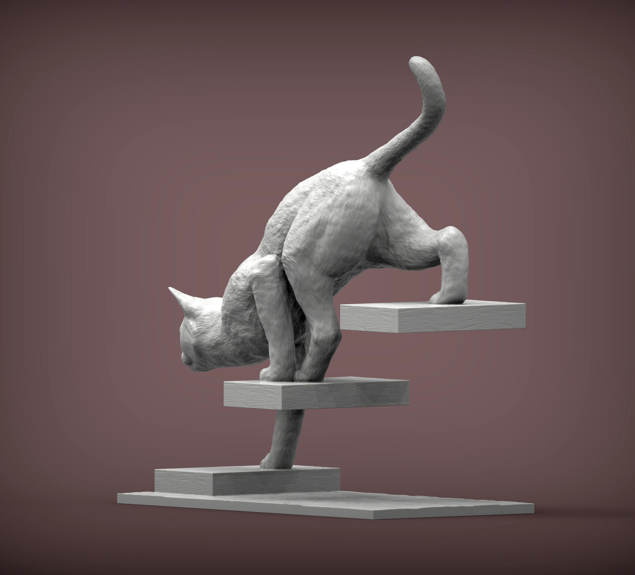 The cat goes down the stairs  3D print model_4