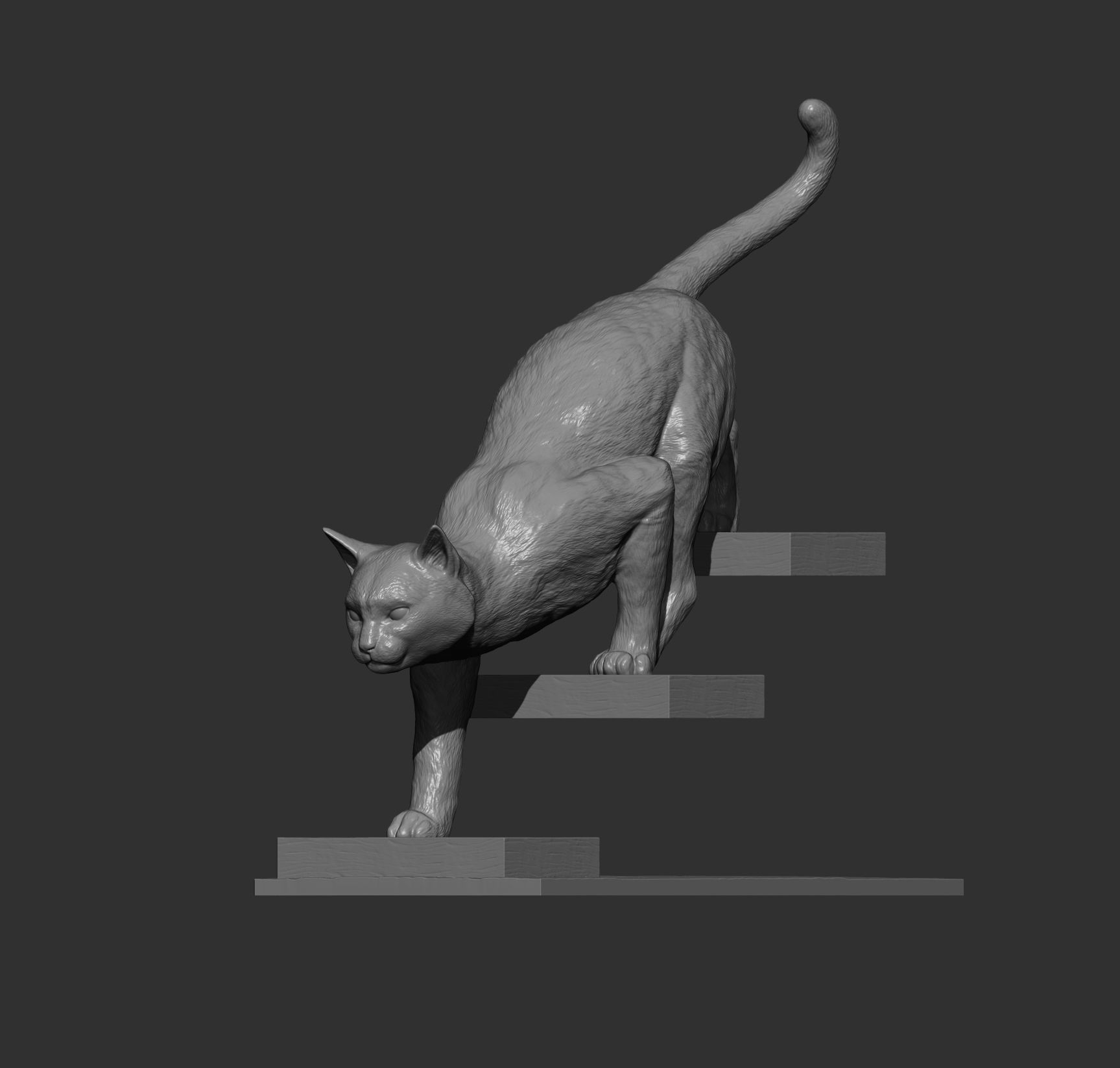 The cat goes down the stairs  3D print model_14