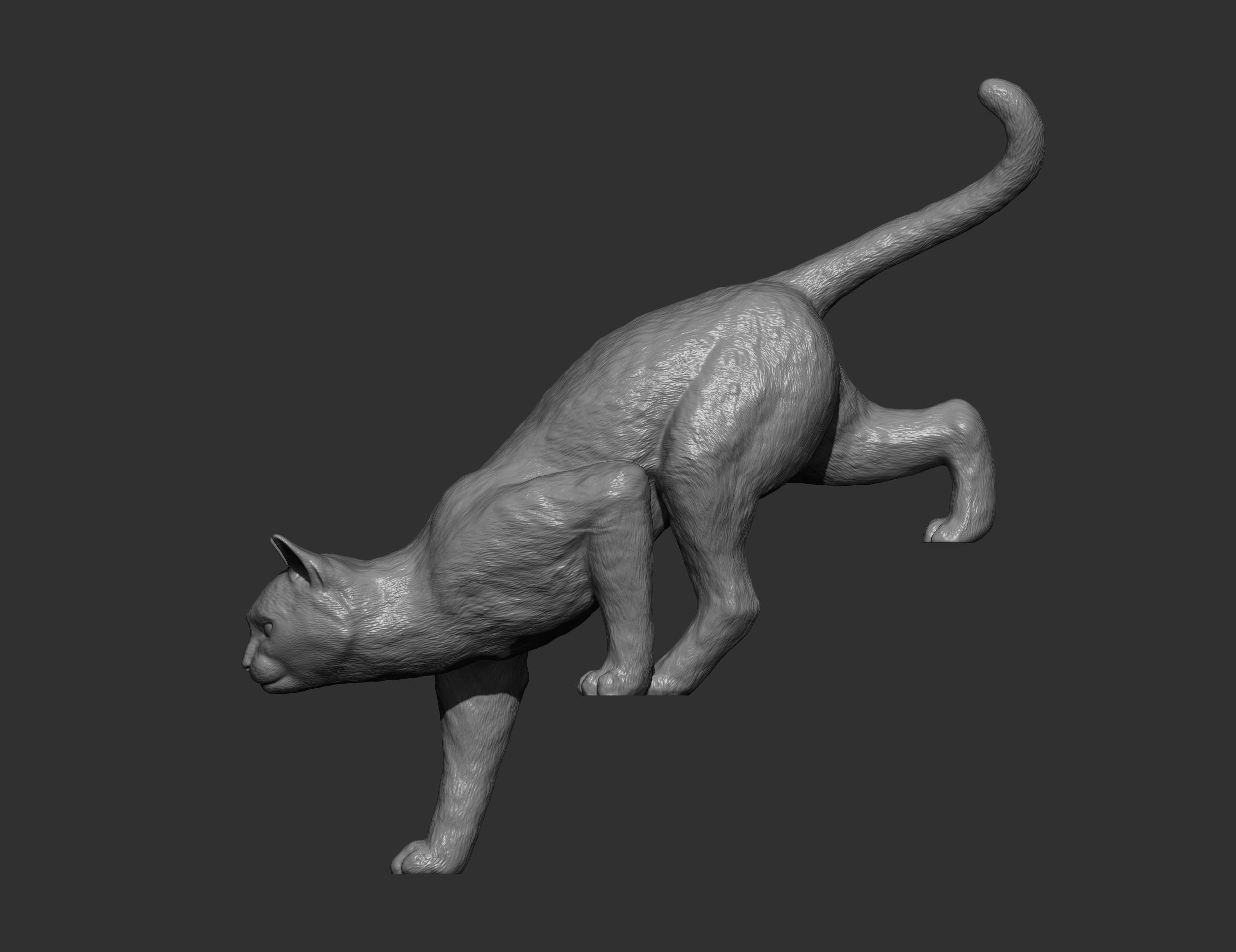 The cat goes down the stairs  3D print model_9