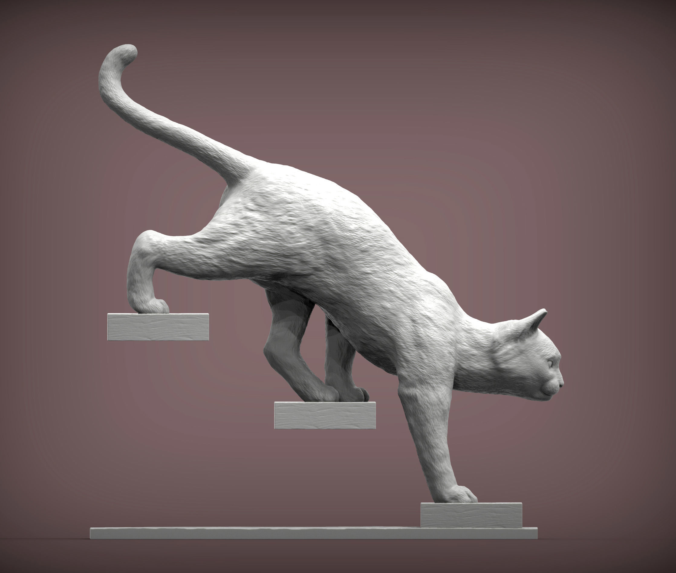 The cat goes down the stairs  3D print model_5
