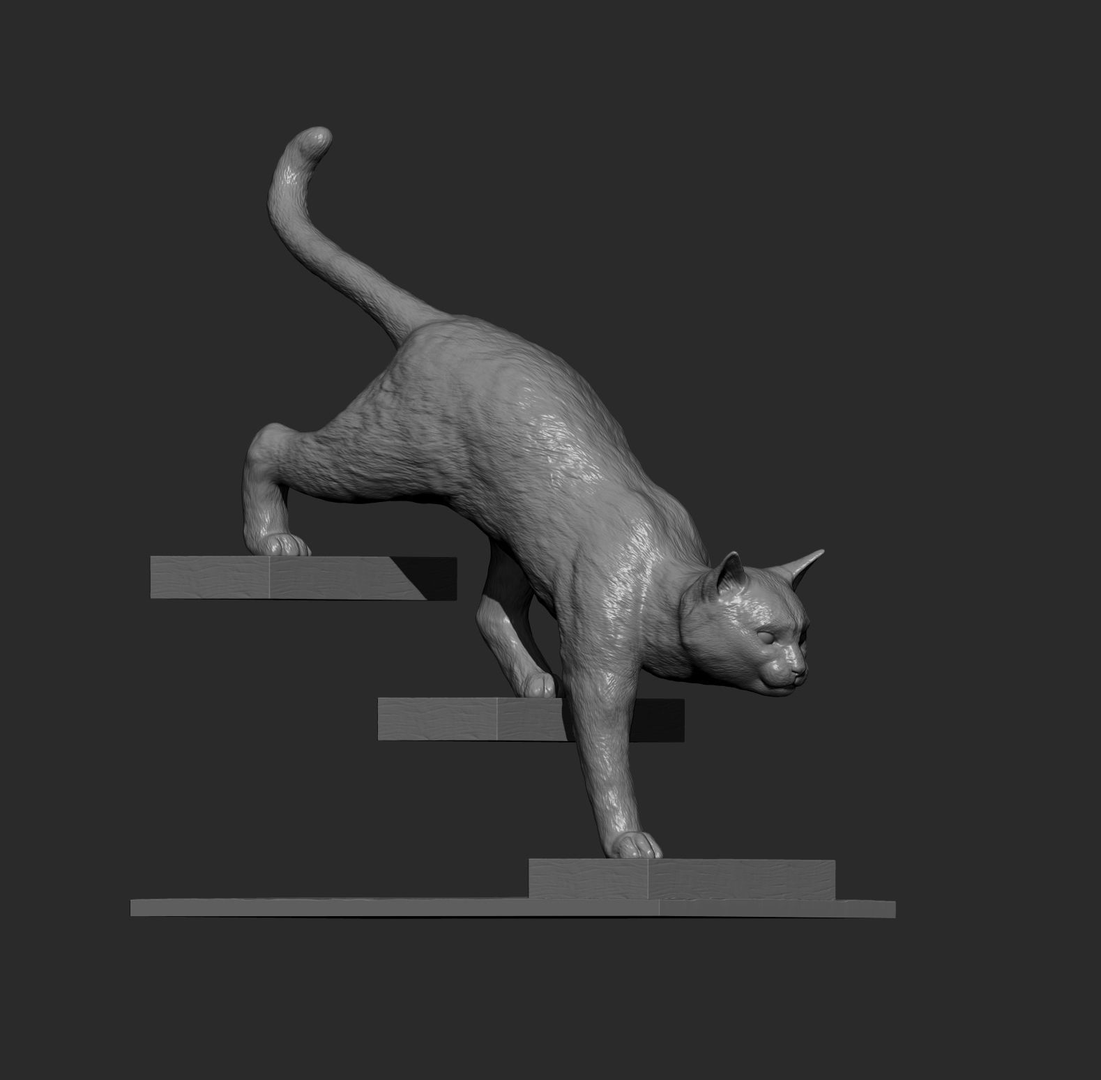 The cat goes down the stairs  3D print model_10