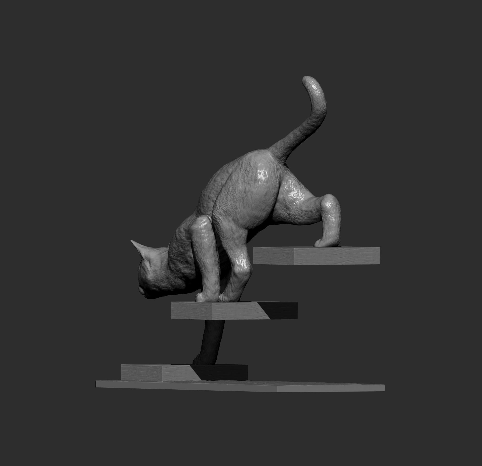 The cat goes down the stairs  3D print model_12