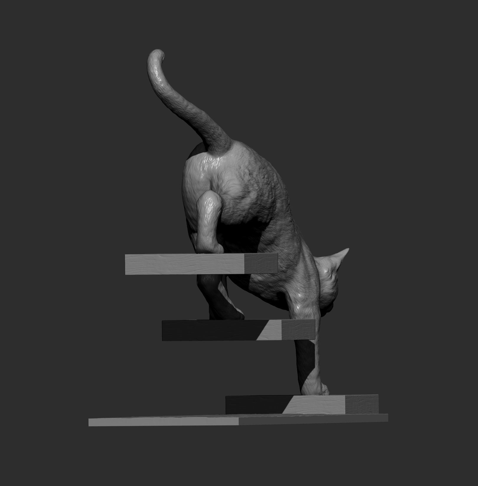The cat goes down the stairs  3D print model_13