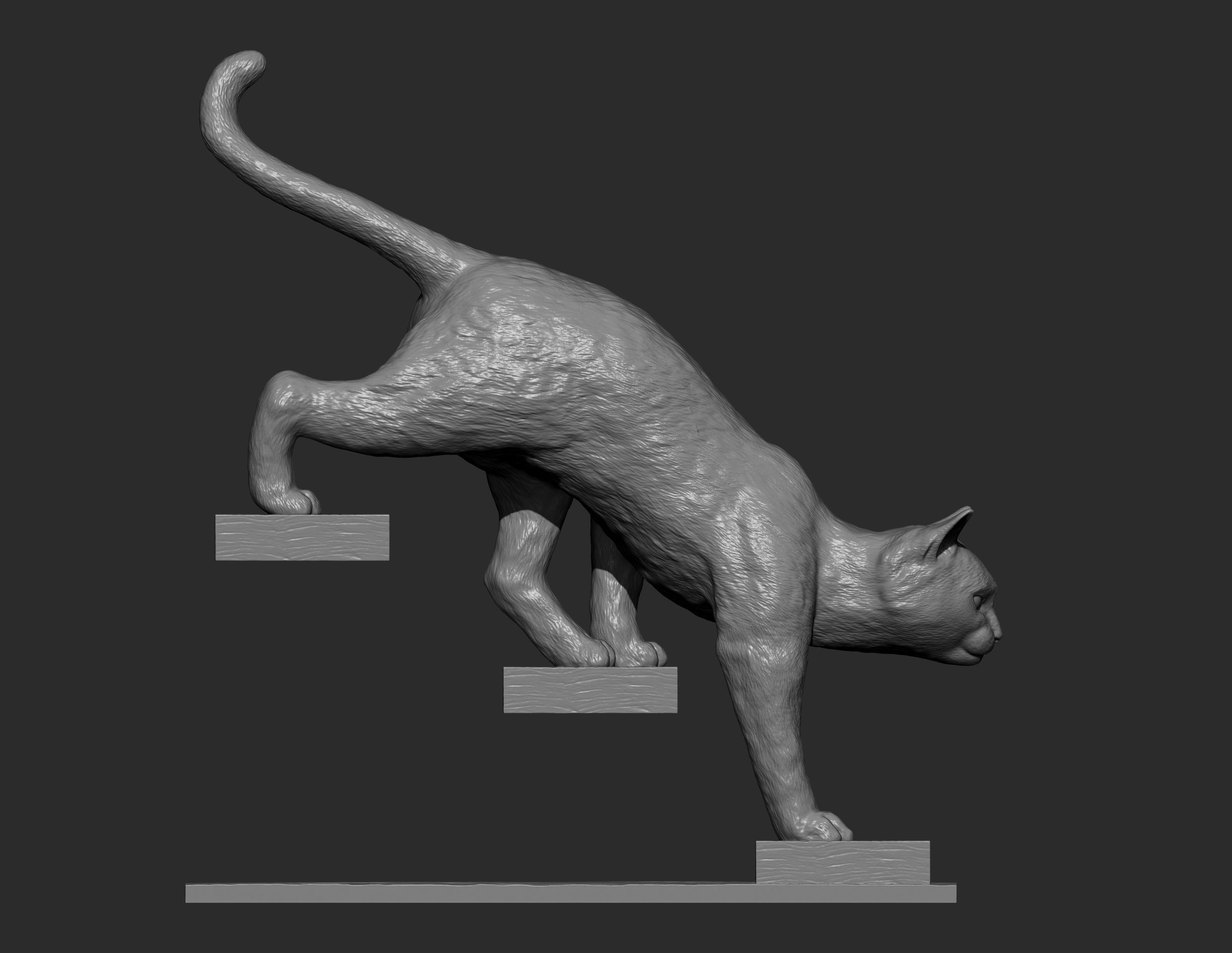 The cat goes down the stairs  3D print model_15