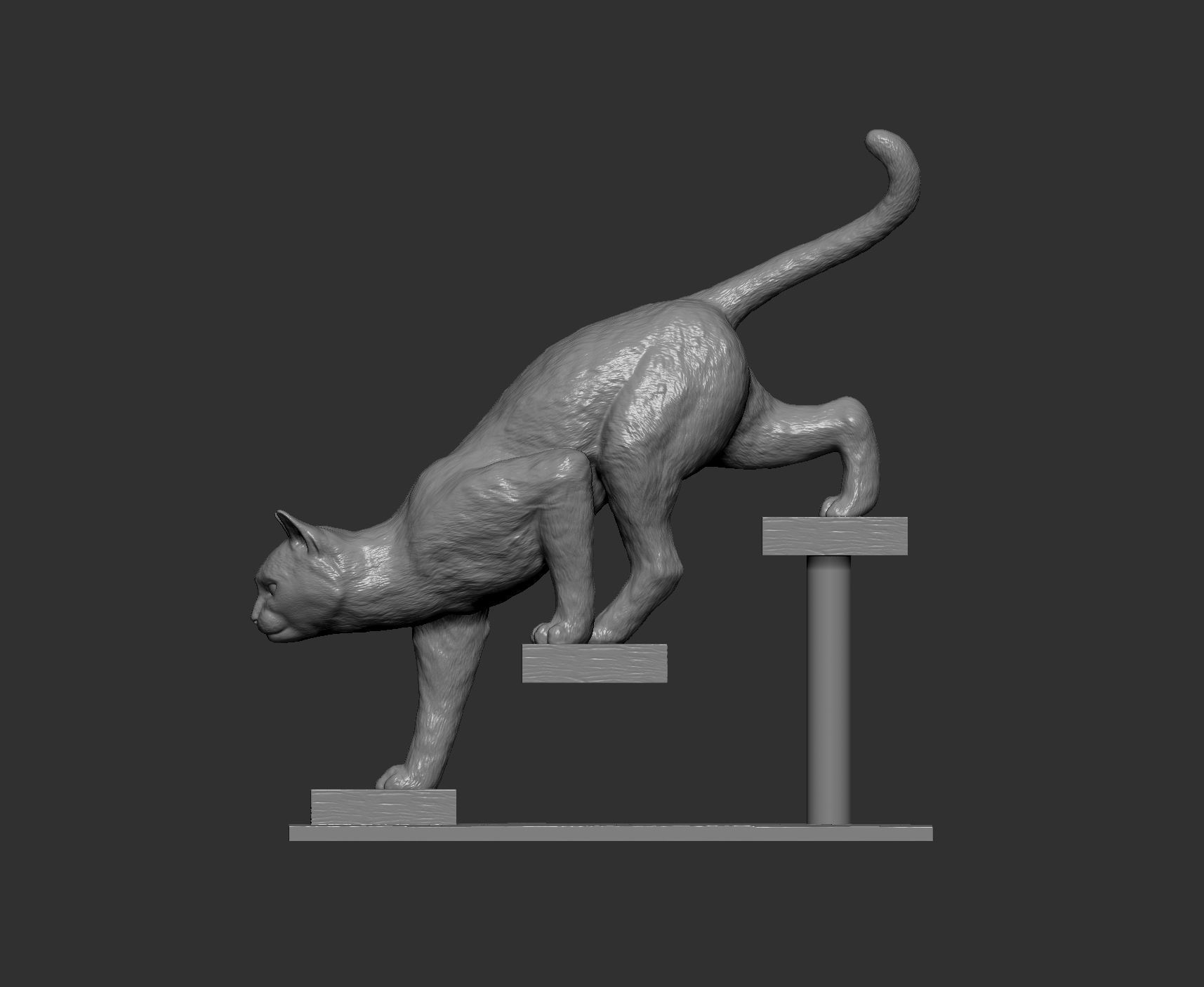 The cat goes down the stairs  3D print model_8