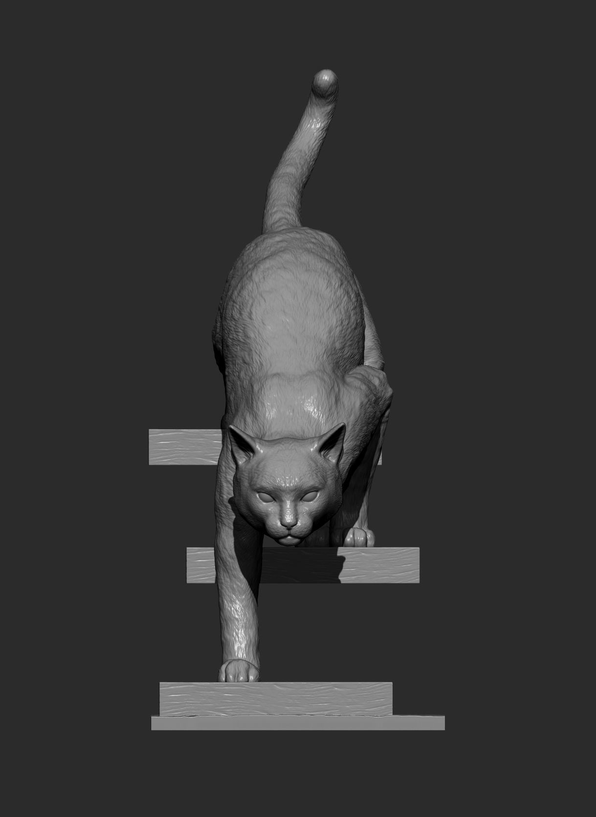 The cat goes down the stairs  3D print model_11