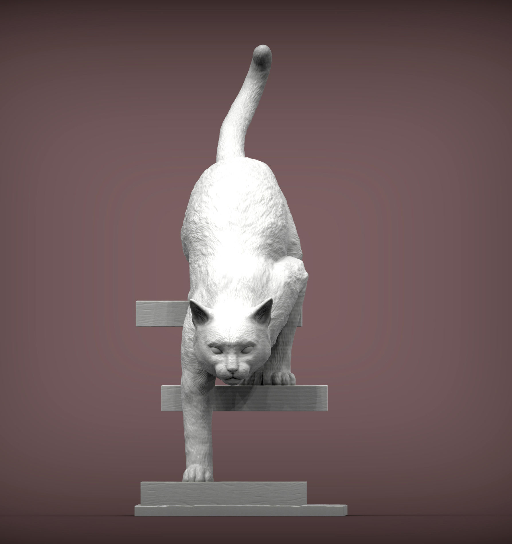 The cat goes down the stairs  3D print model_7