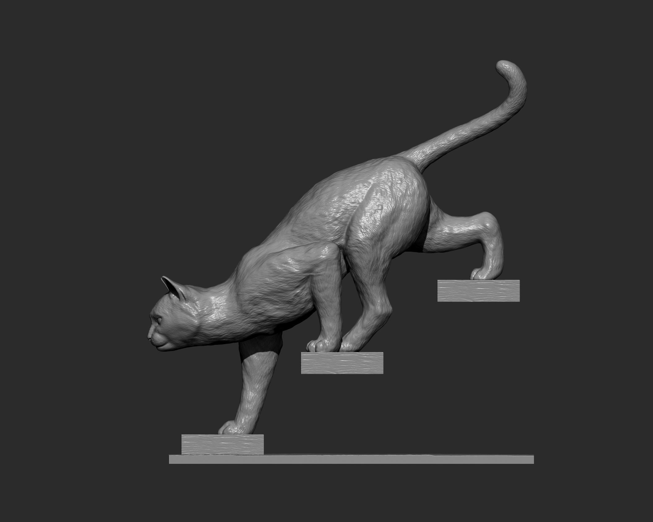 The cat goes down the stairs  3D print model_18