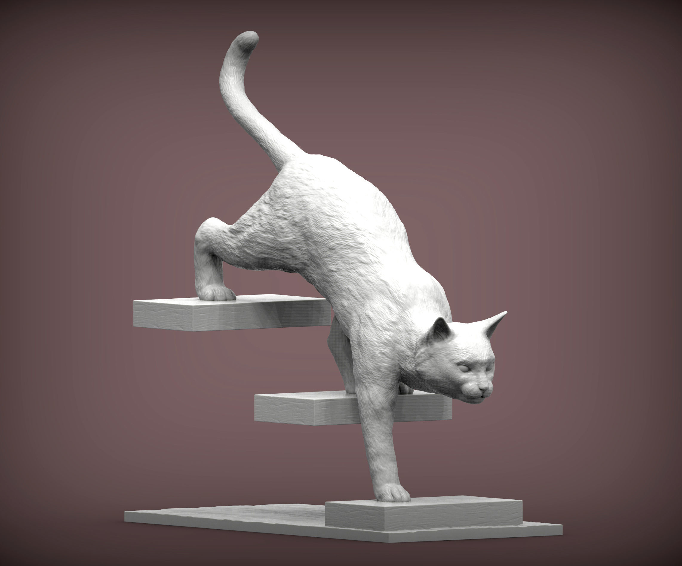 The cat goes down the stairs  3D print model_3